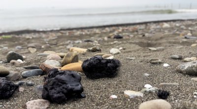 Xəzərin Lənkəran sahillərində neft qalıqlarının yayılması ilə bağlı AÇIQLAMA - FOTO