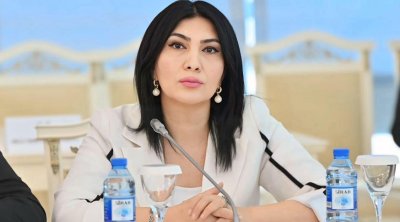 &ldquo;Bu, sadəcə divara rəsm çəkmək deyil, vandalizm aktıdır&rdquo;