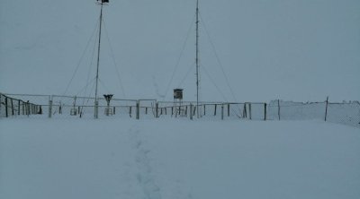 Qrız kəndində qarın hündürlüyü 34 sm-ə çatdı - FOTO