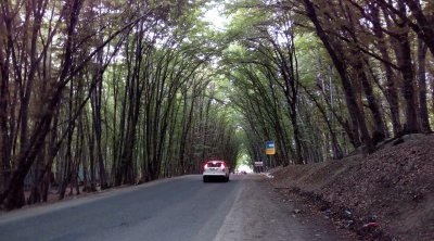 Qubaya getmək istəyənlər bu yoldan istifadə etsinlər – MÜRACİƏT