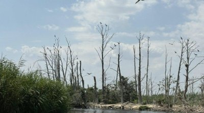 Qobustanda uşaq gölməçəyə düşərək ölüb