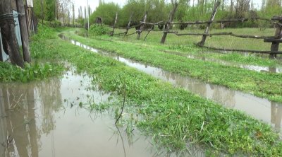 İntensiv yağışlar Balakəndə kəndlilərin təsərrüfatına ciddi ziyan vurub - FOTO
