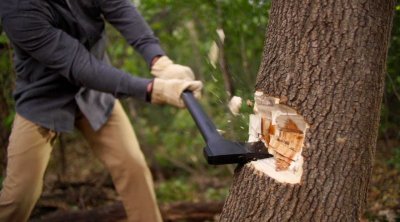 Təbiətə 133 mindən çox ziyan vuruldu