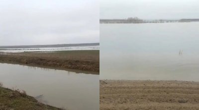 Kür çayı daşdı, əkin sahələrini su basdı - FOTO