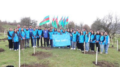 IDEA Gədəbəydə kütləvi ağacəkmə aksiyası təşkil etdi &ndash; FOTO