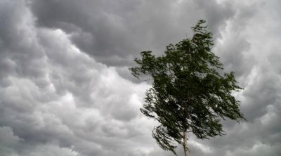 Küləyin sürəti artıb - FAKTİKİ HAVA