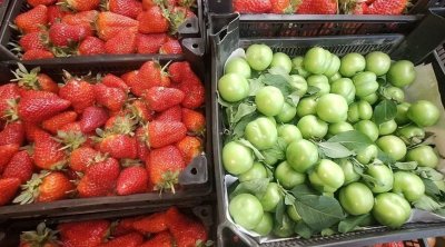 Fermerlər zərər içində: Çiyələk və alça bu il baha ola bilər - VİDEO