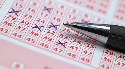 Çilingər hörümçək sayəsində 56 milyon uddu