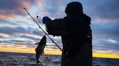 Xəzərdə balıq ovuna qadağa qoyulur &ndash; BU TARİXDƏN