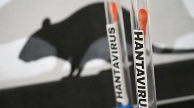 ÜST-dən hantavirus AÇIQLAMASI: Pandemiya geri qayıdır?