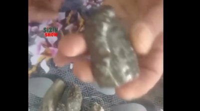 Azərbaycanda tapdığı daşı satışa çıxardı: qramı 2 milyon dollar... - VİDEO