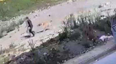 Azyaşlı sahibsiz itlərin hücumundan son anda xilas oldu &ndash; ANBAAN VİDEO
