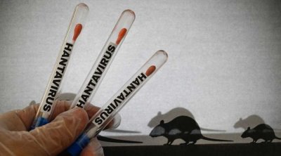 Laynerdə hantavirusa yoluxan əcnəbilər KARANTİNƏ alınacaqlar