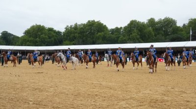 Qarabağ atları Vindzorda Britaniya tamaşaçılarını heyran qoydu - FOTO/VİDEO