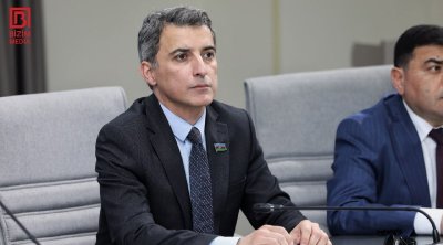 Fariz İsmayılzadə: &ldquo;Bu problemlərin həlli birgə mübarizə ilə mümkündür&rdquo;