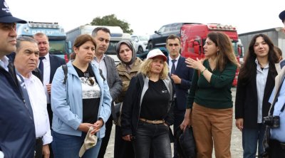 Qəhvəyi mərmər bağalığı yenidən aktivləşib - FOTO