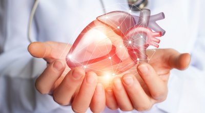 Qidalardakı bu maddələr ürək xəstəlikləri riskini artıra bilər