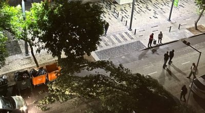 TƏCİLİ! Bakıda güclü külək ağacı avtomobilin üzərinə AŞIRDI &ndash; FOTO/VİDEO