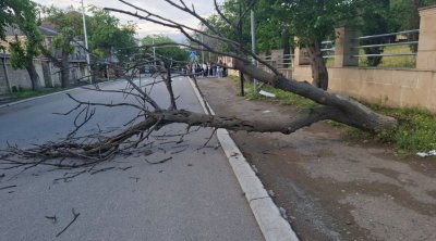Güclü külək Gəncədə də fəsadlar yaradıb - FOTO