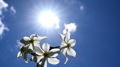 Sabah hava necə olacaq? &ndash; PROQNOZ