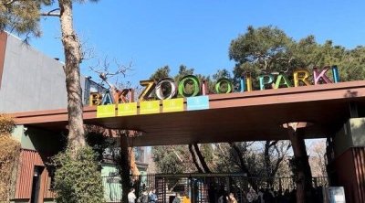Bu qurum niyə 350 min manata siçan-siçovul alır?