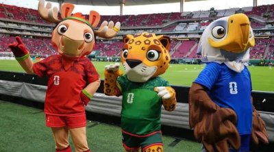 Dünya Kubokunun &ldquo;maskot&rdquo;ları narkotik əməliyyatında &ndash; FOTO