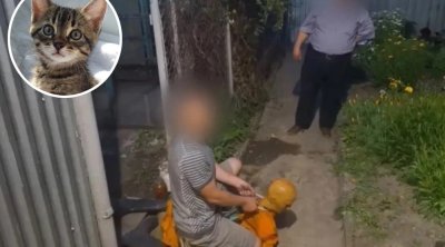 43 yaşlı kişi pişiyini zəhərləyən qonşu qadını boğaraq öldürdü
