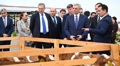 Xocalıda "Qoç Ət"in heyvandarlıq kompleksi ilə tanışlıq - FOTO