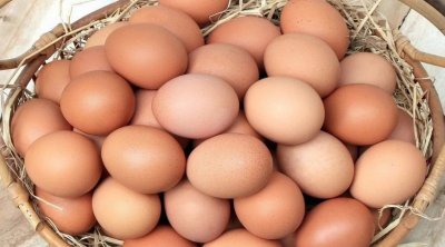 1 qəpiklik yumurtanın içindən görün nə çıxdı - VİDEO