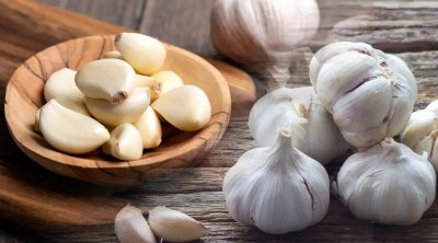 Gündə bir sarımsaq udulsa, orqanizmdə nə baş verər?