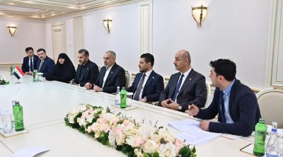 Sahibə Qafarova İraq rəsmisi ilə görüşdü - FOTO