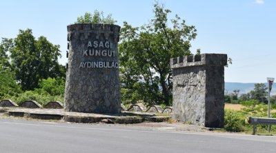 Şəkidə yeni Dövlət Proqramının hədəflərinə uyğun olaraq heyvandarlığın inkişafı diqqət mərkəzindədir - FOTO