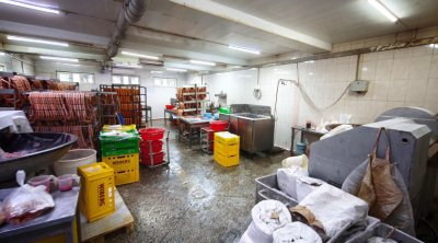 “Azəridad”da tüklü toyuqlardan kolbasa hazırlayırmışlar – Fotolar