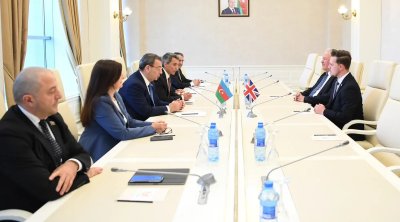 Azərbaycan və Britaniya parlamentariləri Bakıda görüşdülər - FOTO