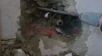 Sakinlər onun xilası üçün nazirliyə zəng etdilər– Video