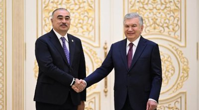 Rəşad Məmmədov etimadnaməsini Şavkat Mirziyoyevə təqdim etdi &ndash; FOTO