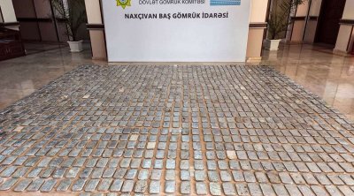 İrandan Almaniyaya yük aparan nəqliyyat vasitəsi Naxçıvanda YOXLAMAYA cəlb olundu &ndash; SƏBƏB/FOTO