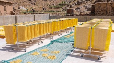 Azərbaycanda yetişir, amma ən çox fransızlar yeyir