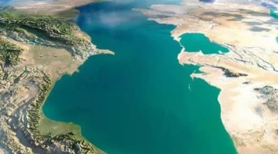 Xəzər dənizindəunikal TAPINTI: suyu təbii təmizləyir - FOTO
