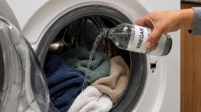Paltaryuyan maşına niyə sirkə tökmək lazımdır?