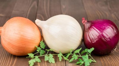 Qırmızı, yoxsa ağ soğan daha faydalıdır? &mdash; Diyetoloqlar cavab verdi