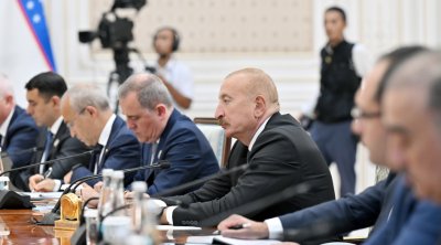 Prezident: “Özbəkistanın avtomobil sənayesində əldə etdiyi təcrübə Azərbaycana da ötürülür”