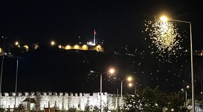 Hər il təkrarlanan "Kəpənəklərin ölüm rəqsi"nin səbəbi bilindi – Erkəyini öldürən dişilər