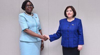 Sahibə Qafarova Mozambikin Baş naziri ilə görüşdü - FOTO