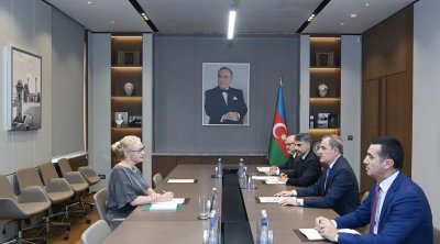 Ceyhun Bayramov İsveçin yeni səfiri ilə görüşdü &ndash; FOTO