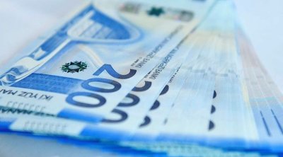 Bu il dövlət büdcəsindən 224,2 milyon manat geri qaytarıldı