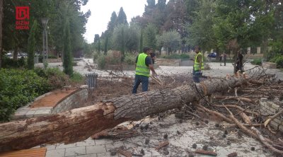 Gəncədə güclü küləyin törətdiyi fəsadlar &ndash; FOTO/VİDEO