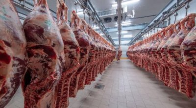 Dünyada mal əti istehsalı azalacaq &ndash; PROQNOZ
