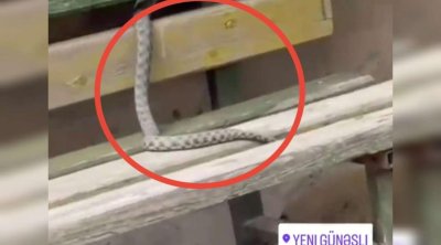 Yeni Günəşlidə ilan göründü &ndash; VİDEO
