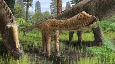 Elm aləmində sensasiya: İspaniyada ilk dəfə tam qorunub saxlanılmış dinozavr tapıldı